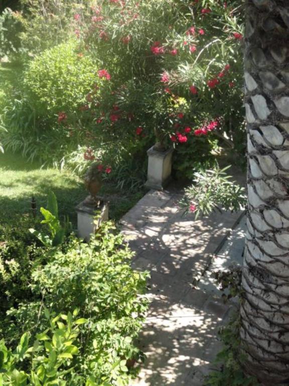 לינה וארוחת בוקר סאלס-לה-שאטו Casa Montes מראה חיצוני תמונה